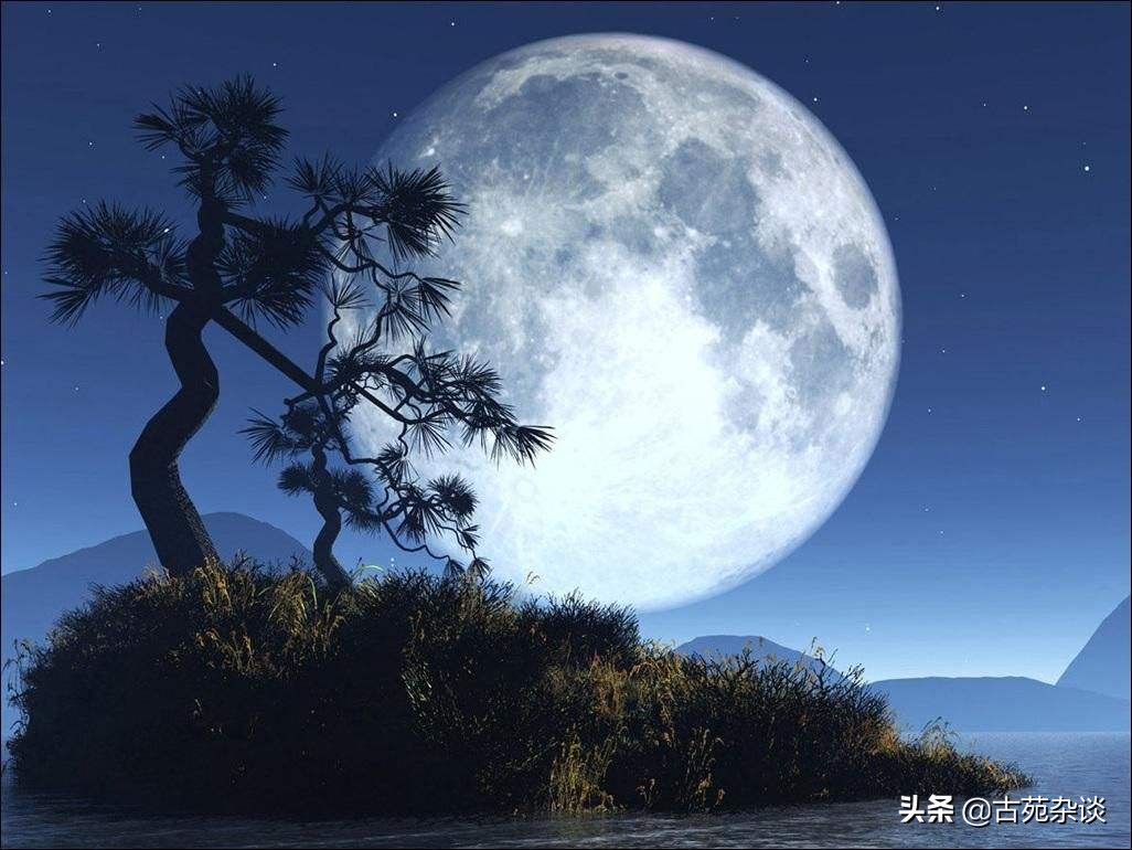 唯愿当歌对酒时比喻什么（赞美酒的诗句经典语录）