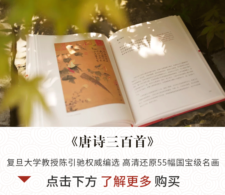 大暑诗词歌赋鉴赏（描写大暑的古诗欣赏）