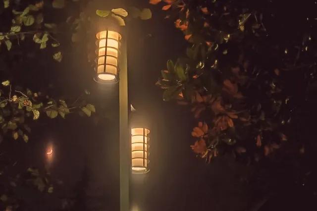 童年好词好句摘抄（积累童年的好词好句好段）