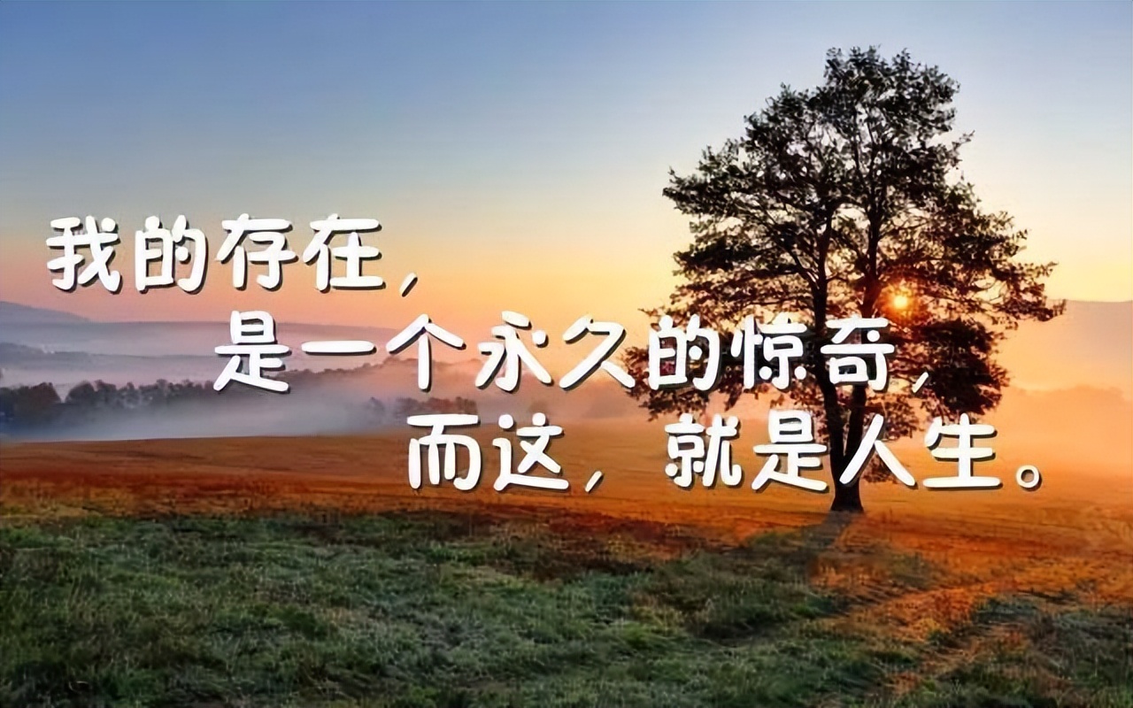 激励人心的句子简短（激励自己的名言警句）