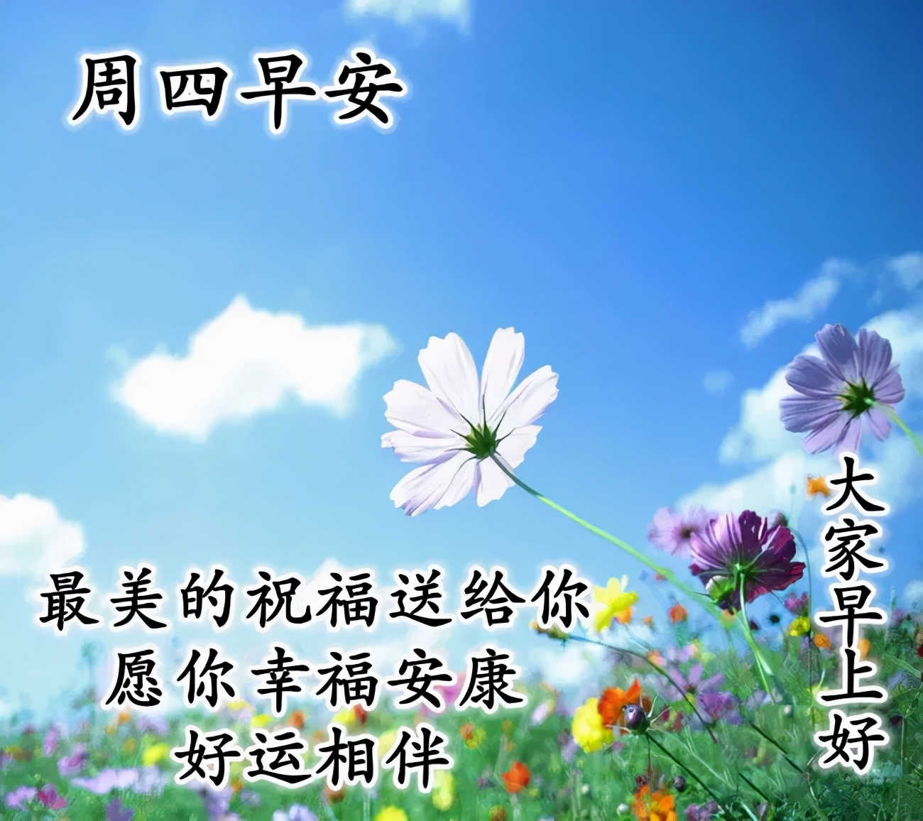 笑容灿烂的唯美句子（形容笑容很治愈的句子）