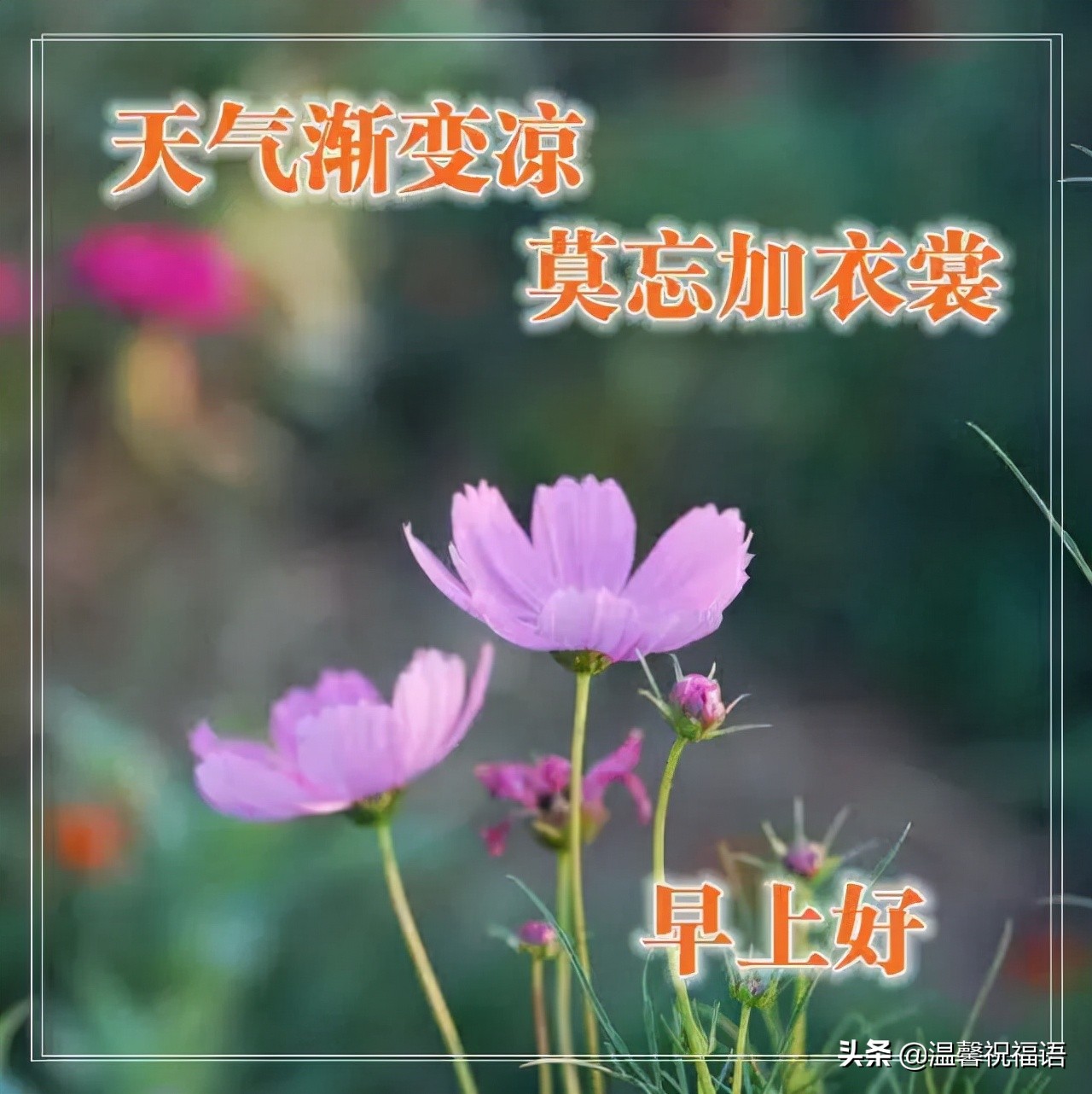 冬天祝福的话语句句暖人心（正能量的句子简短 ）