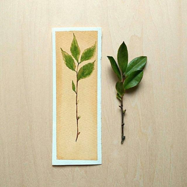 人生哲理感悟的句子（人生感悟的经典短句）