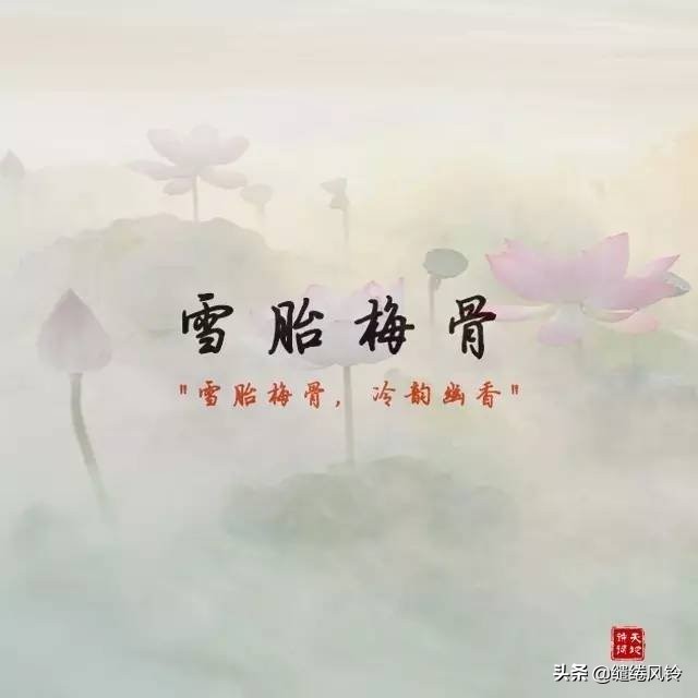 夸女孩子的四字词语（夸女生漂亮唯美成语）
