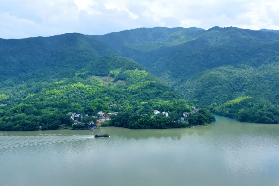 元稹的诗代表作（元稹著名诗词欣赏）