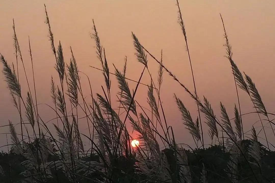 美好生活的句子正能量（经典美好生活短句）