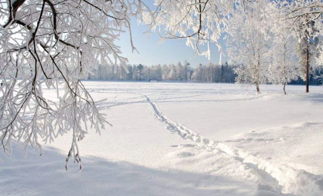 描写大雪的诗句有哪些（描写冬天雪景的诗句）