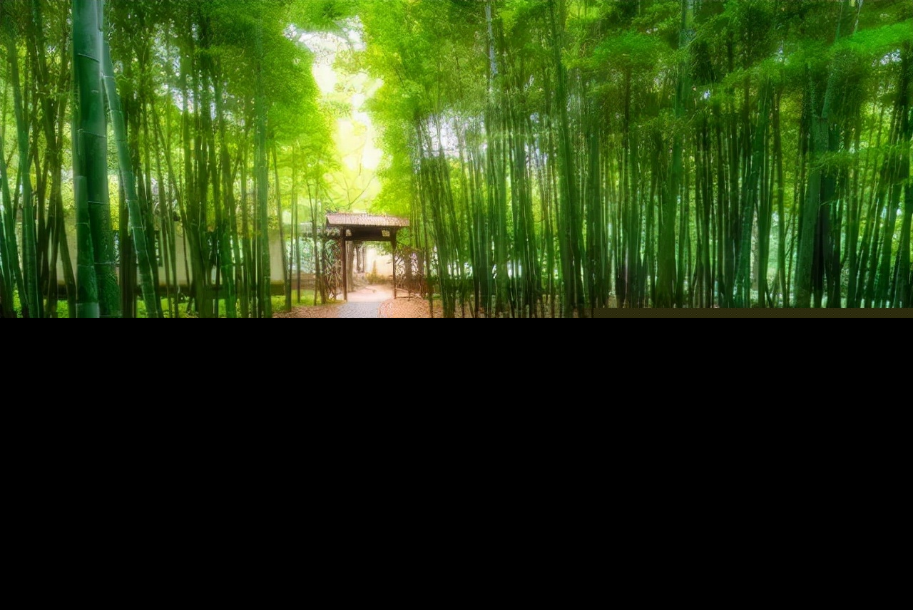 关于读书的名言警句（读书名言名句经典摘抄）