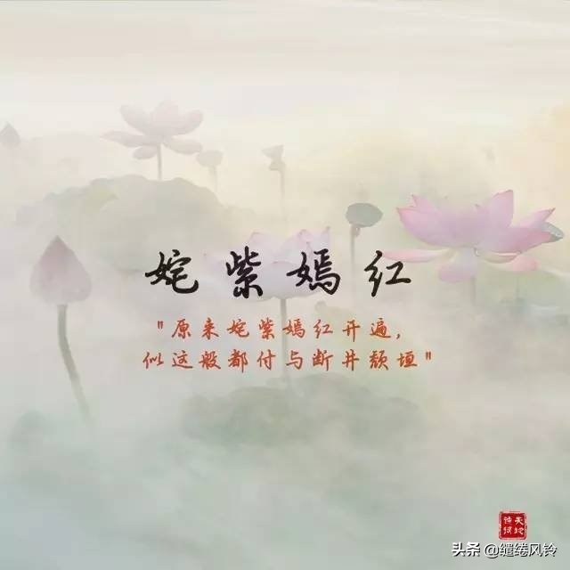 夸女孩子的四字词语（夸女生漂亮唯美成语）
