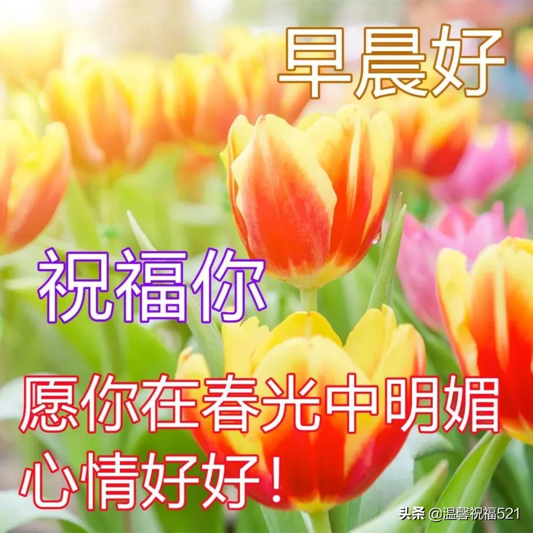 早安心语短句（早安让人看了舒服的句子）