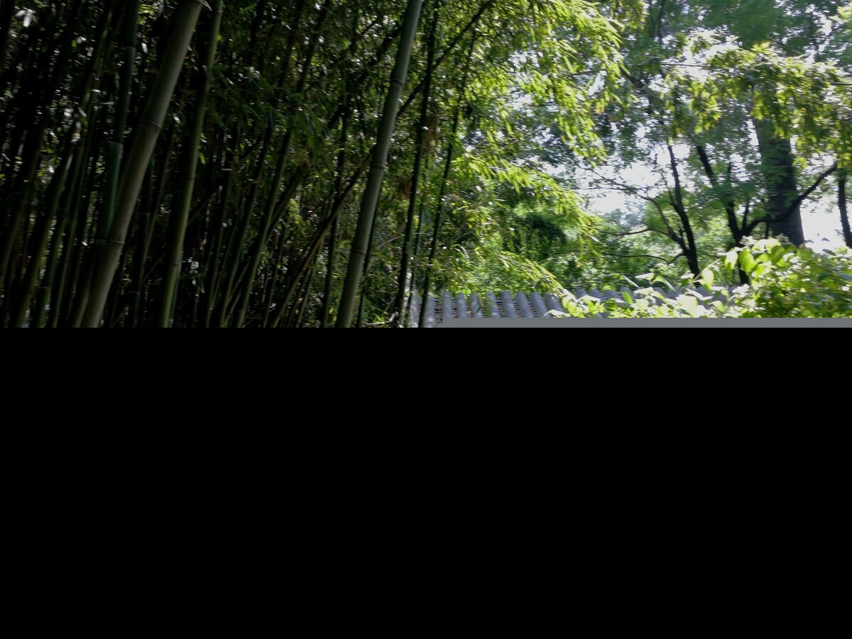 形容绿色的诗句有哪些（赞美绿色的唯美诗句）