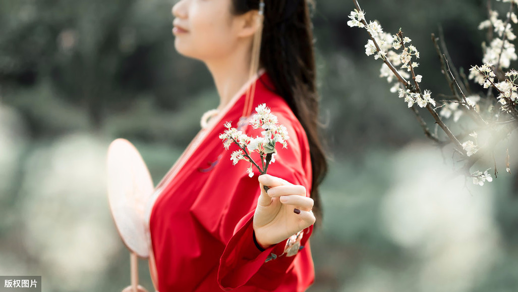 描写梨花的诗句有哪些（最经典的梨花诗词）