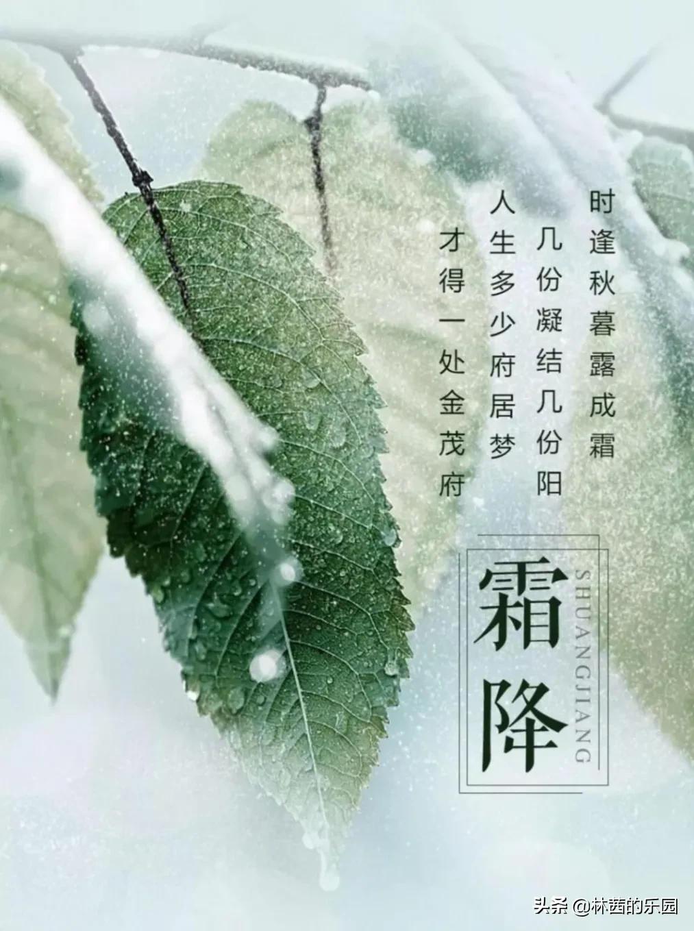 描写霜降的古诗精选（关于霜降的唯美诗句）