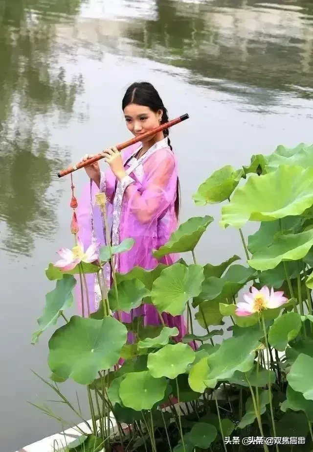 白居易诗集经典（白居易诗集大全鉴赏）