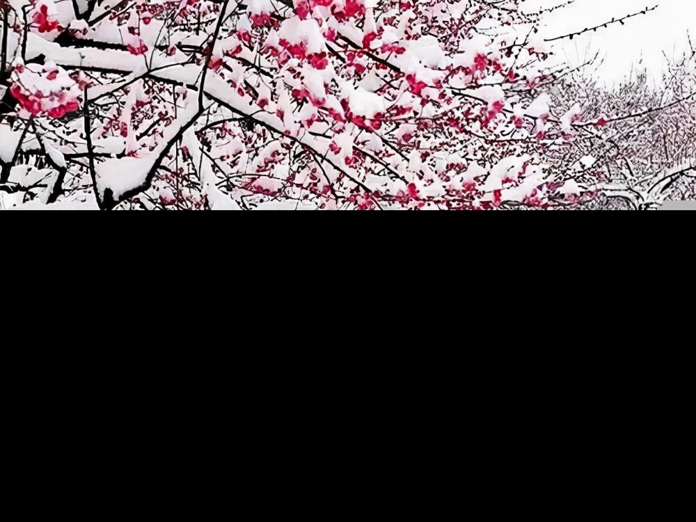 赞美雪的句子简短（关于下雪的诗词欣赏）