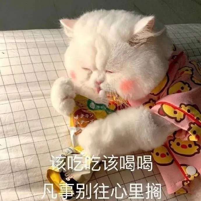 关于小白兔冷笑话（小白兔笑话大全爆笑简短）