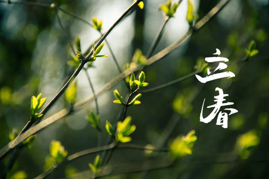 关于立春的经典诗词（描写早春的有名诗句）
