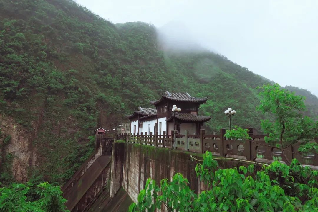 春雨诗句古诗大全（关于春雨的诗歌欣赏）
