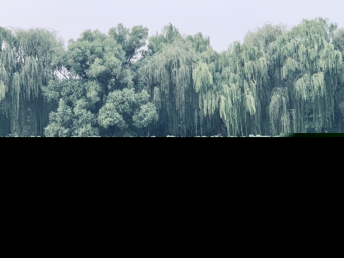 对生活热爱的名言（热爱生活格言经典短句）