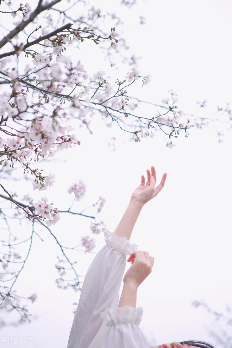 关于春天的句子唯美短句（赞美春天的名人名言 ）