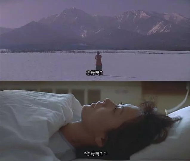 爱情故事经典台词（爱情故事经典台词分享）