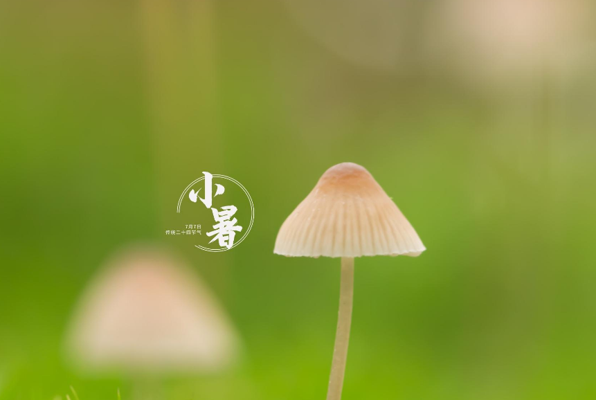 描写二十四节气的古诗（与二十四节气有关的诗歌分享）