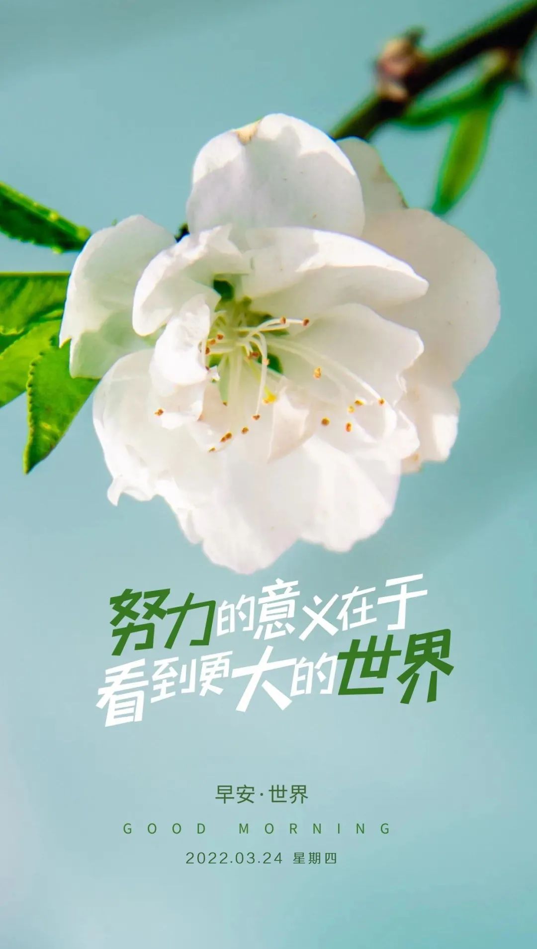 励志早安语录简短（早安让人看了舒服的句子）