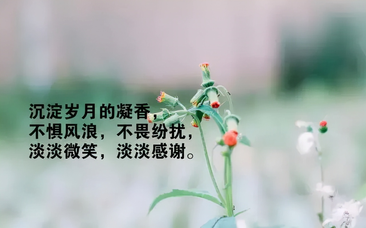 人生感悟句子(经典人生感悟句子精选简短)