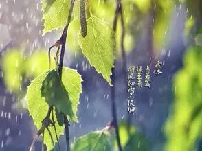 凄美的句子唯美短句（伤感又唯美的句子）