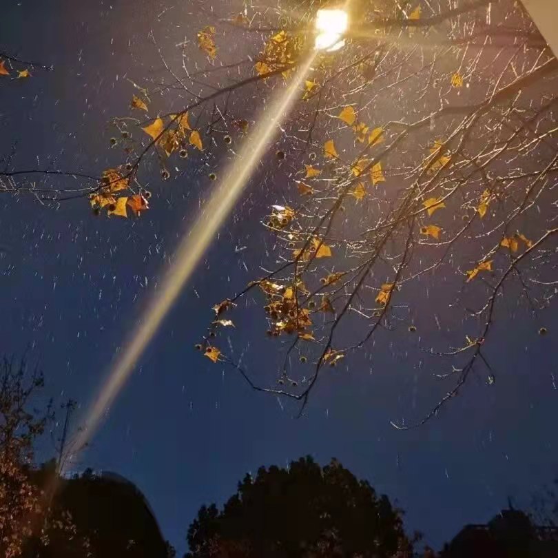 时光太匆匆的经典句子（时光飞逝的短句唯美）