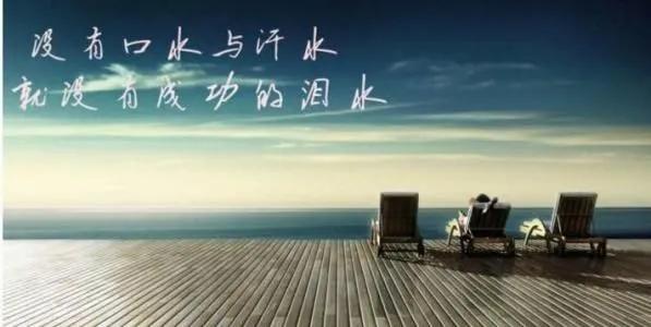 优美文段摘抄赏析（摘抄经典优美句子加赏析）