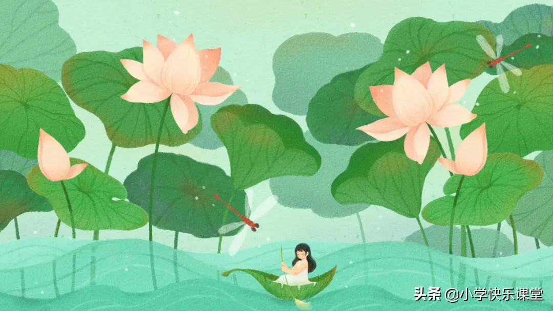 三毛流浪记好词好句（三毛流浪记摘抄笔记）