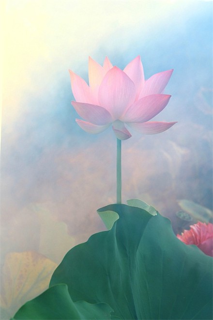 经典人生感悟句子（唯美感悟人生语录）