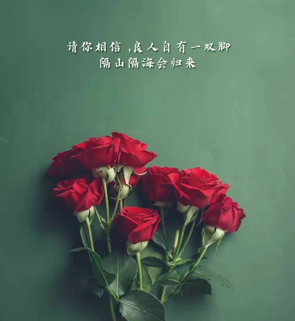 情人节经典语录励志（情人节励志的唯美句）