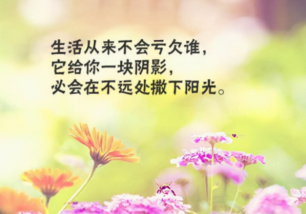 正能量短句美好生活（感悟生活的唯美句子）