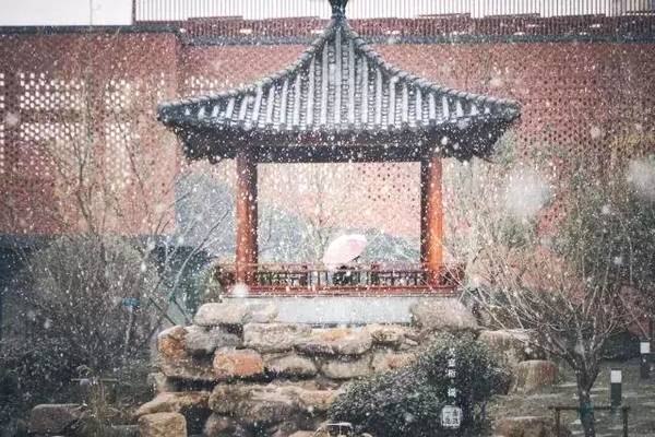 时闻折竹声是哪首古诗（白居易夜雪诗词赏析）