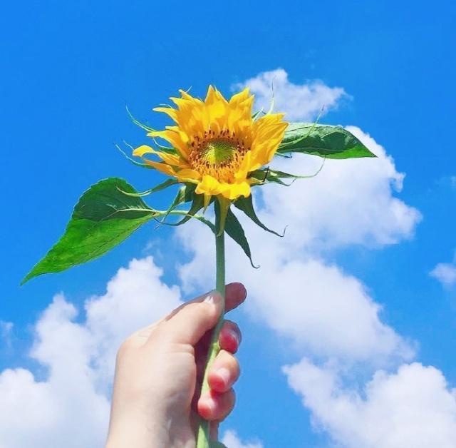 非主流经典句子大全（回不到从前的伤感句子）
