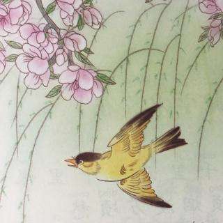 庭院深深深几许什么意思（庭院深深深几许原文赏析）