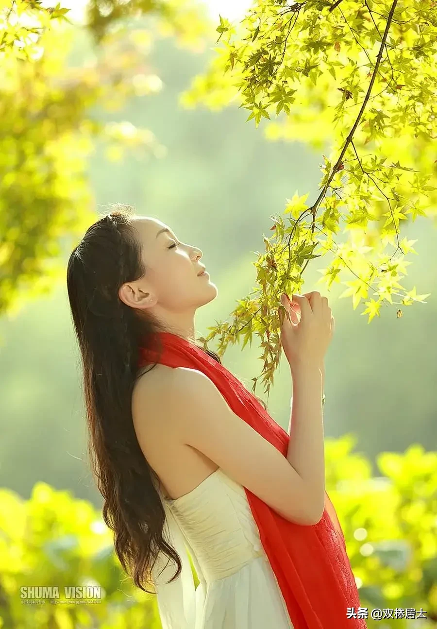 白居易诗集经典（白居易诗集大全鉴赏）