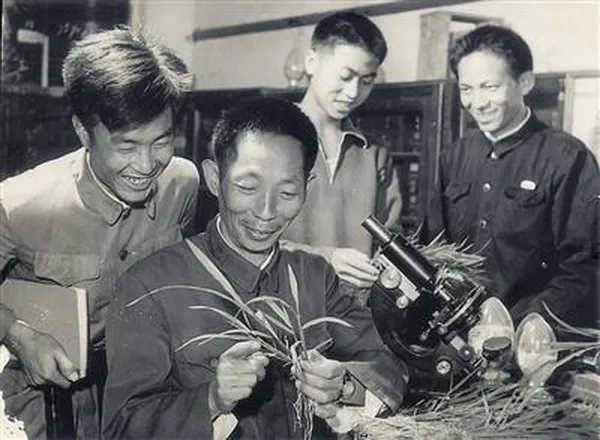 关于袁隆平的名言名句（关于袁隆平的经典语录）