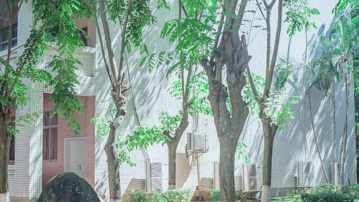甜蜜的英文句子有哪些（甜蜜英文短句分享）