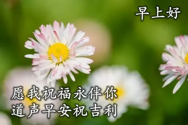 短信祝福语简短新年（适合所有人的祝福语）