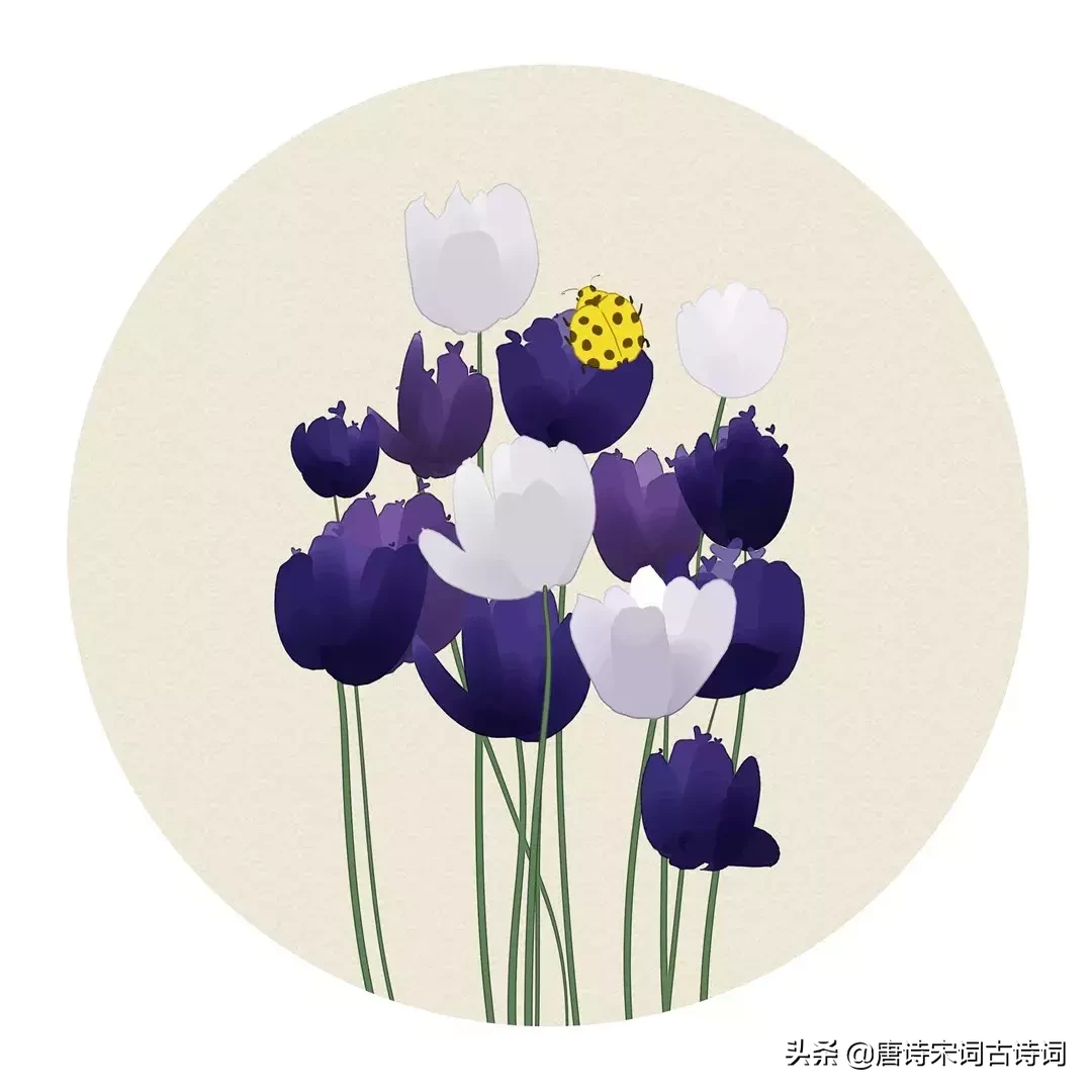 描写夏天的诗有哪些（关于夏天的古诗词鉴赏）