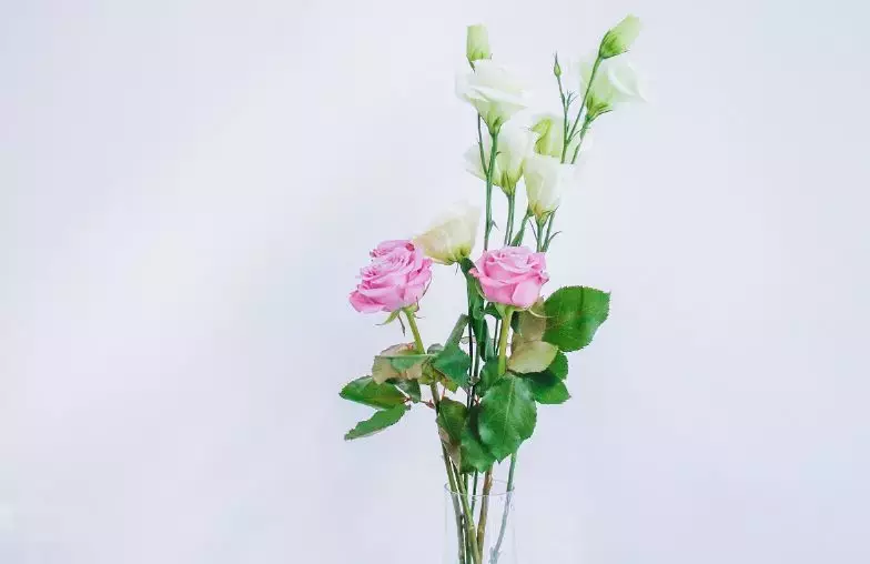 送花的含义与寓意（各种花送人代表的意义）