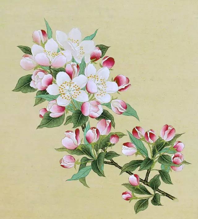 跟花有关的诗句有寓意（花的象征意义和诗句）