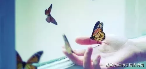 中国最美古诗词励志（意境很美的古诗词欣赏）