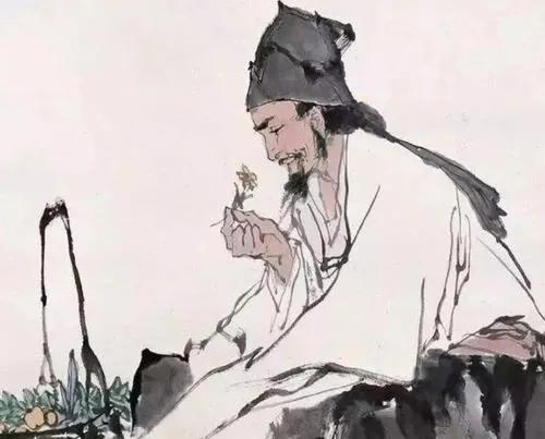 健康养生的经典句子（关于养生的经典语句）