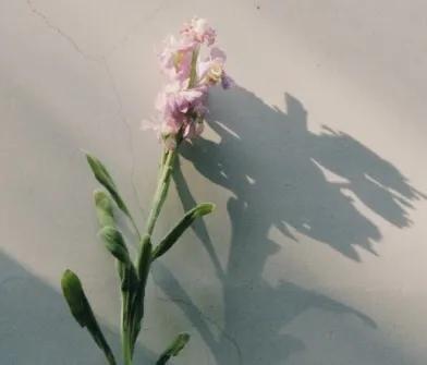 触动心灵的句子经典（内心触动很深的优美句子）
