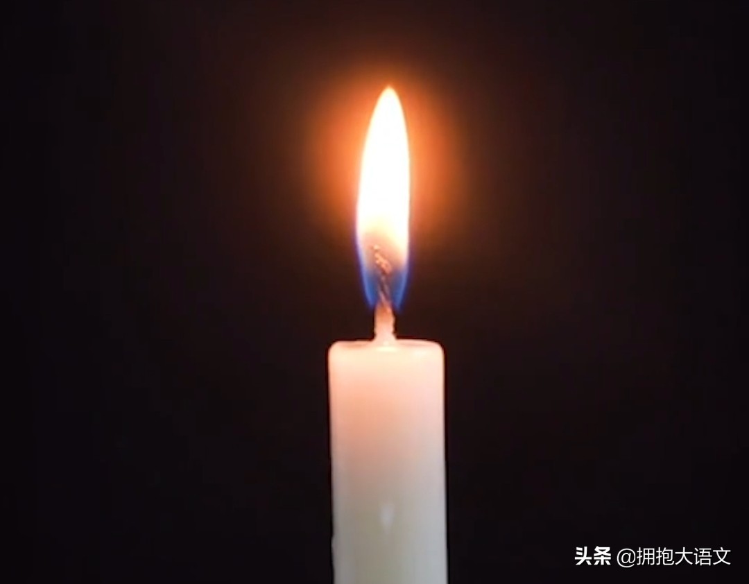 歌颂教师的优美句子（赞美老师的金句）