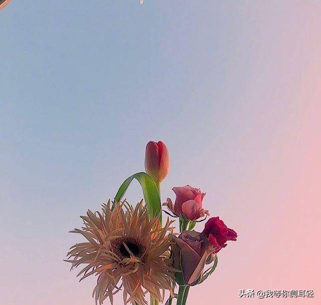 美句简短优美句子励志（美言美句摘抄励志）